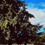 Saint - Charles * Rambouillet